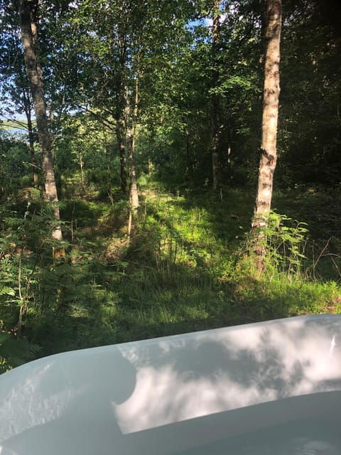 agundaborg-agunnaryd-ice-bath-and-breathing-workshop