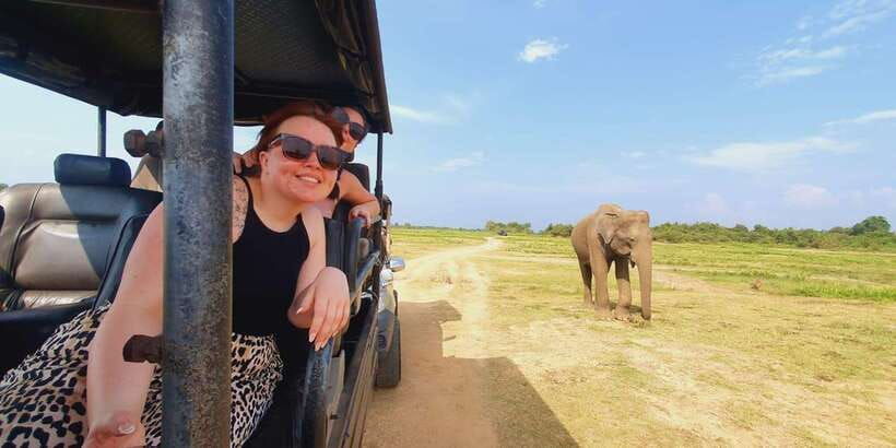 all-inclusive-minneriya-national-park-half-day-safari