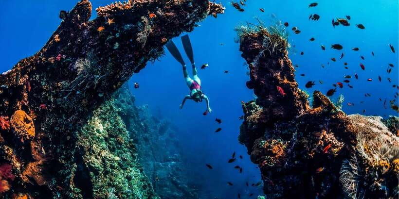 amed-snorkeling-trip-to-the-japanese-shipwreck