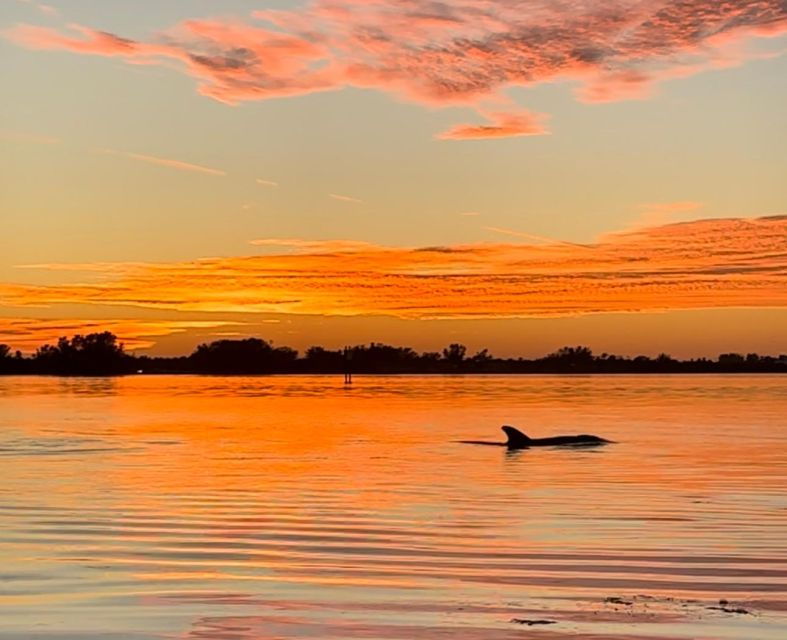 Anna Maria Island and Bradenton: Sunset Kayak Dolphin Tour