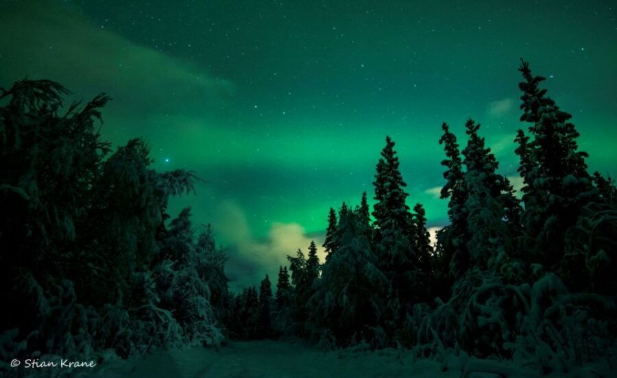 arctic-adventure-northern-lights-hunting-with-snowmobiles