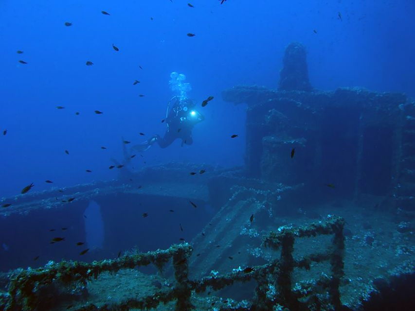 athens-adventure-dives-in-nea-makri-for-certified-divers