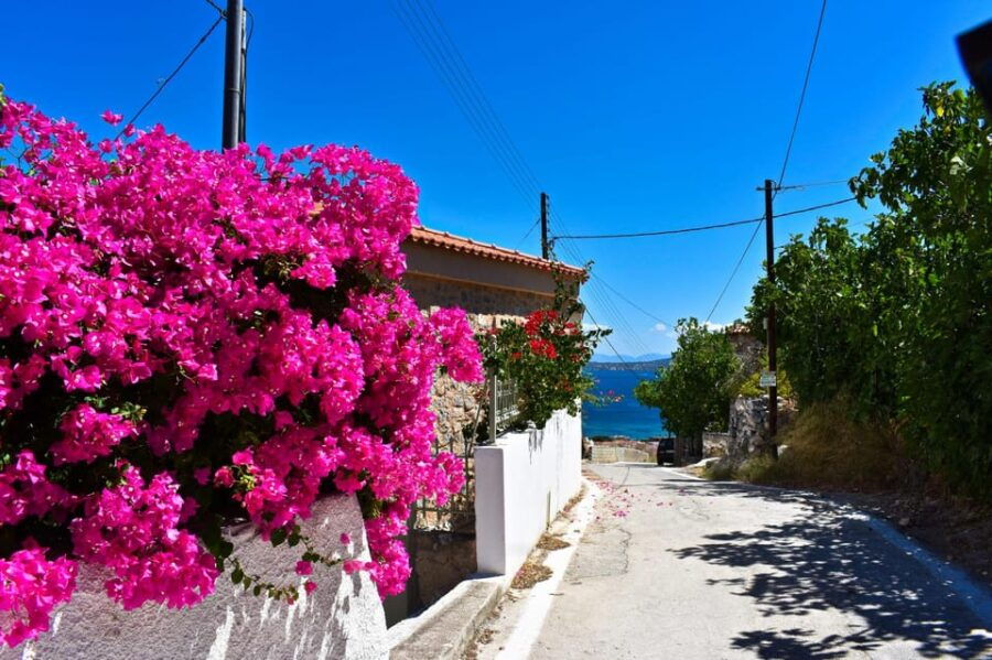 athens-agistri-metopi-aegina-cruise-with-meals-drinks