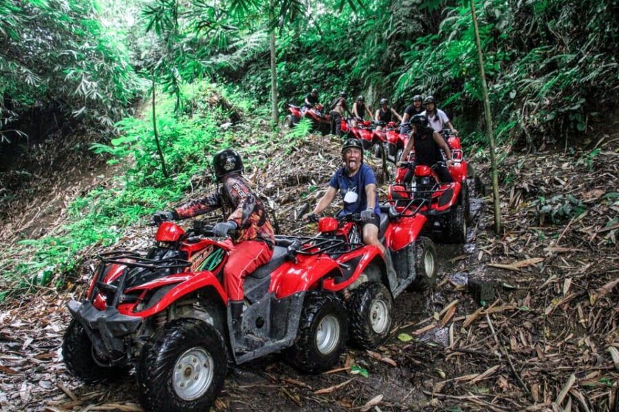 atv-quad-bike-bali-with-waterfall-gorilla-cave-and-lunch