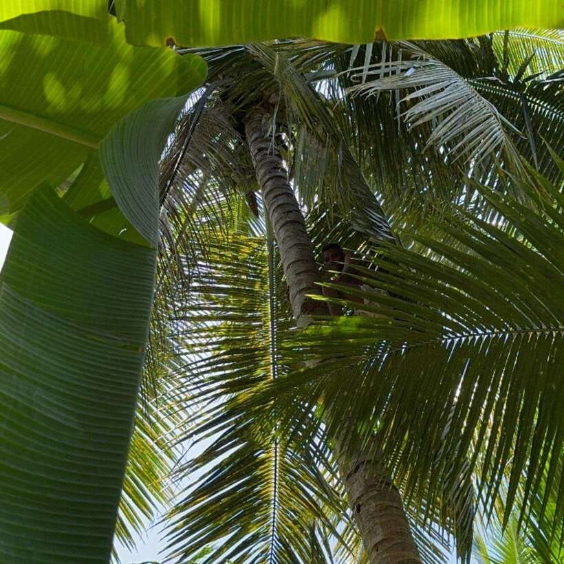 authentic-sri-lankan-village-experience-with-local-family