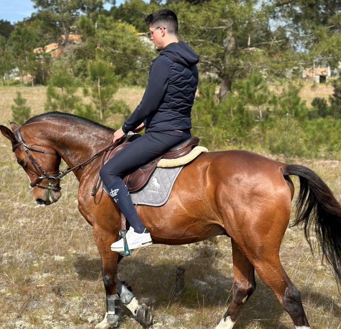 aveiro-horse-riding-experience-with-instructor