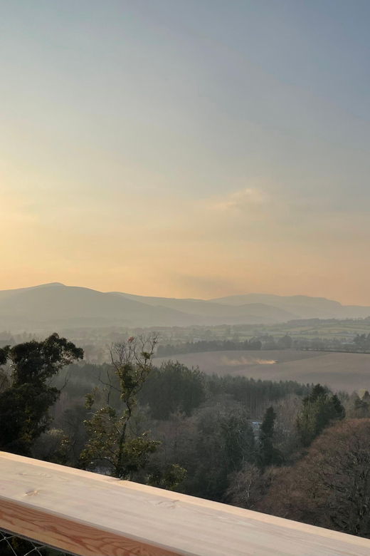 avondale-beyond-the-trees-treetop-walk-tower-entry-ticket