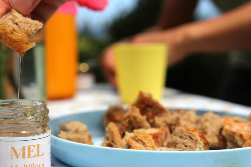azores-beekeeping-tour-and-honey-taste-2