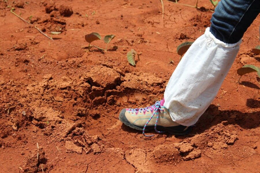 back-to-nature-trekking-and-hiking-at-khao-yai-national-park