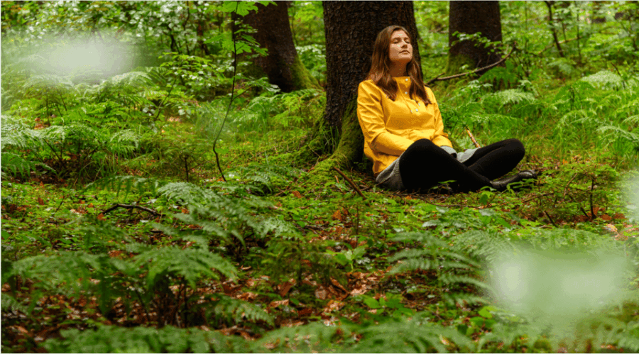 bad-worishofen-shinrin-yoku-forest-bathing