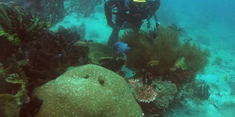 bali-2-day-padi-advanced-open-water-course