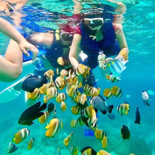 bali-blue-lagoon-snorkeling-with-optional-sightseeing-tour