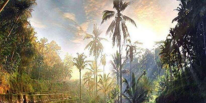 bali-full-day-optional-tour-packages