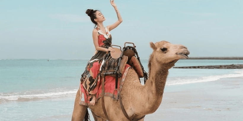 bali-kelan-beach-camel-rides-experiences