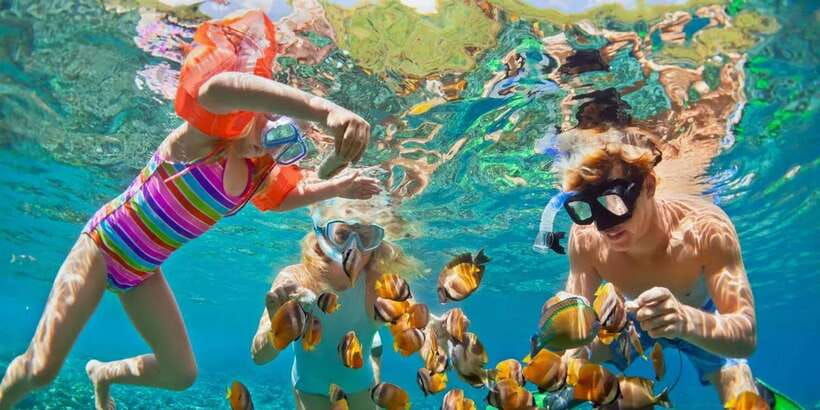 bali-nusa-lembongan-snorkeling-mangrove-forest-trip