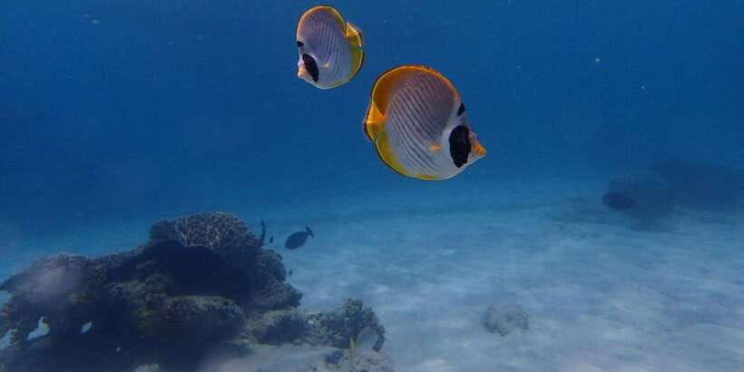 bali-padangbai-blue-lagoon-scuba-diving