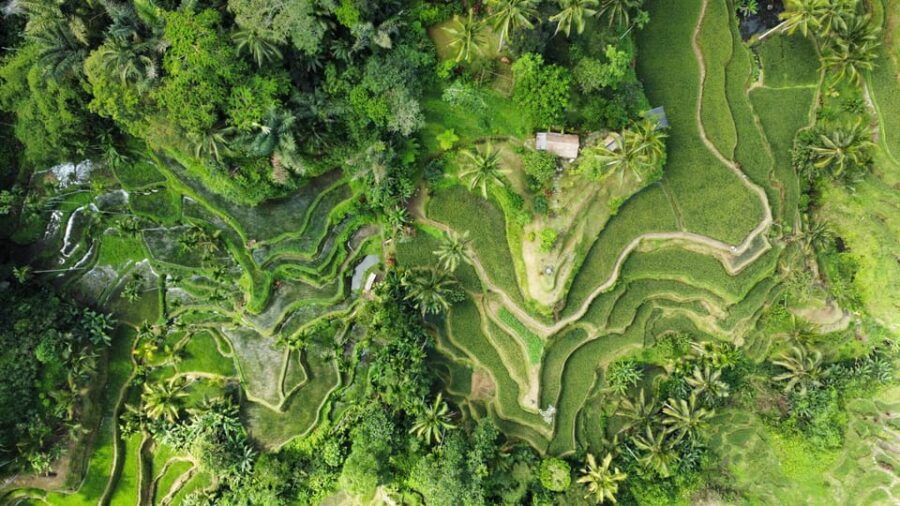 bali-photo-and-videoshoot-customized-private-tour