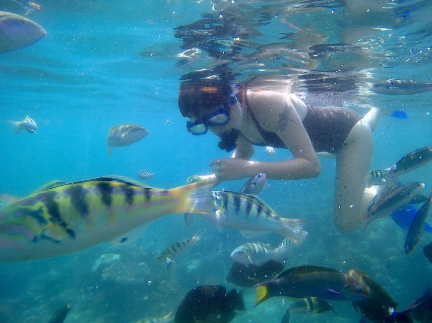 bali-private-snorkeling-to-blue-lagoon-and-tanjung-jepun