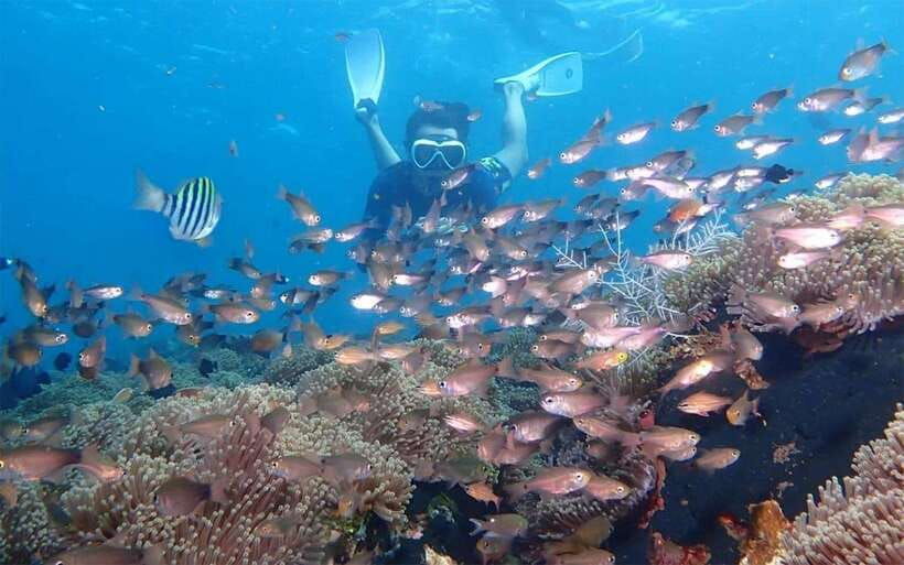 bali-snorkeling-tour-with-usat-liberty-shipwreck