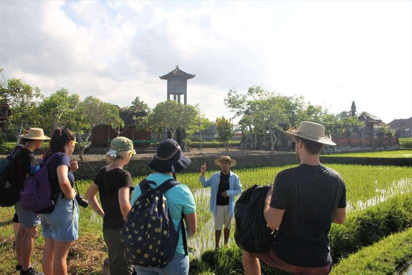 bali-subak-secrets-guided-tour-with-farming-experience