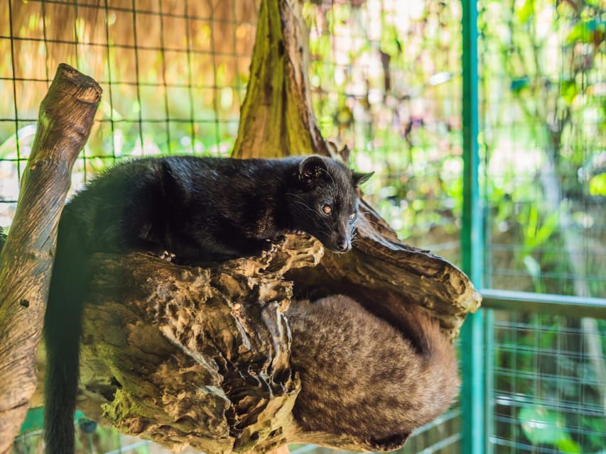 bali-ubud-adventure-rafting-monkey-forest-waterfall