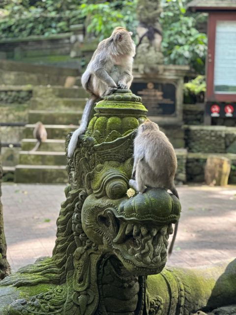 bali-ubud-monkey-forest-waterfall-temple