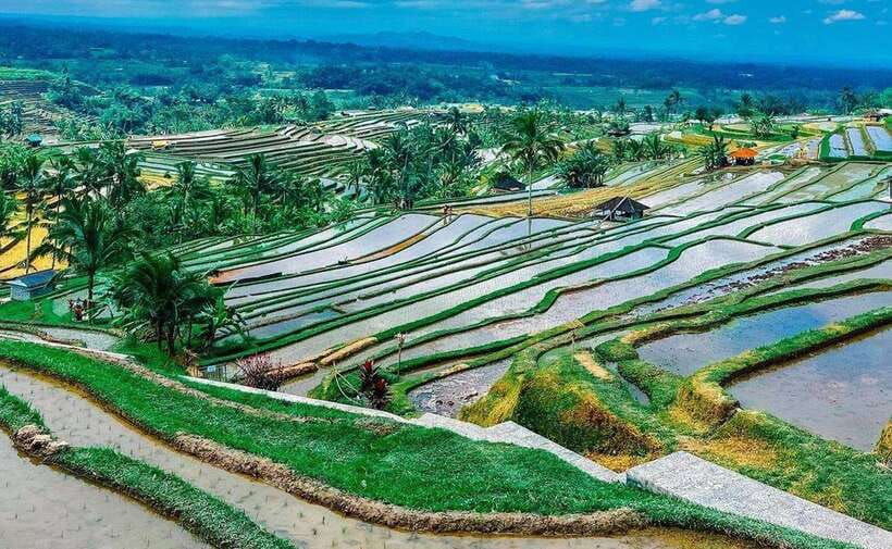 bali-ulun-danu-beratan-temple-and-unesco-rice-terrace-tour
