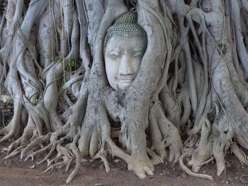 bangkok-ayutthaya-local-market-tour-in-spanish-or-english