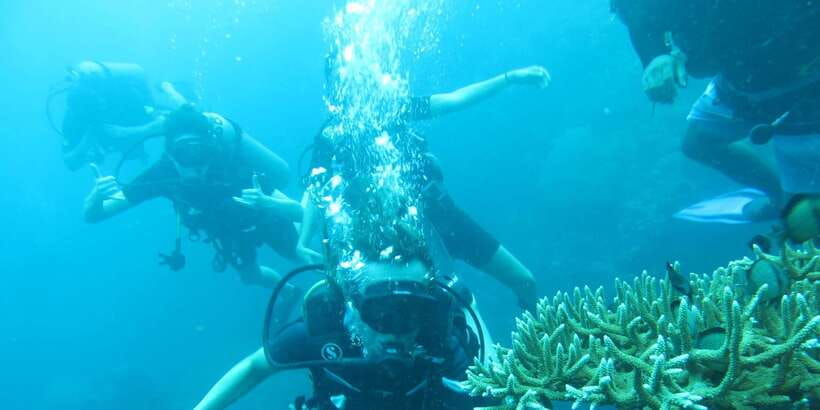 basic-fun-dive-at-menjangan-island