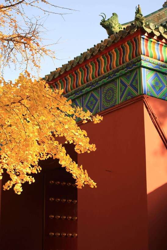 beijing-temple-of-earth-ticket-serene-majestic-ancient