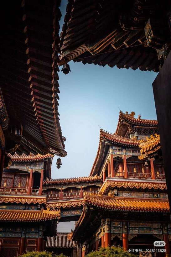 beijing-yonghegong-lama-temple-with-entry-tickets