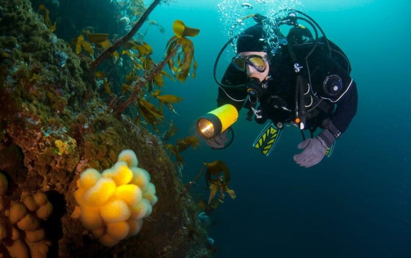 bergen-guided-scuba-diving