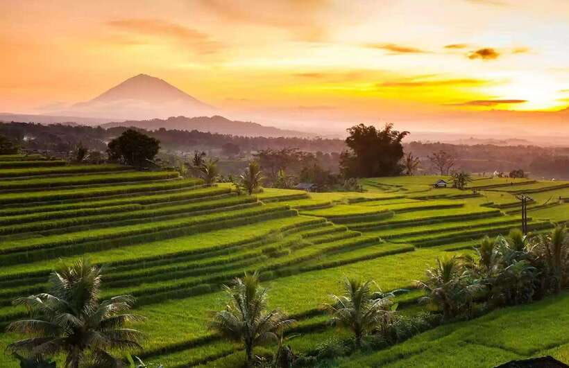 best-northern-side-of-bali-privat-day-tour