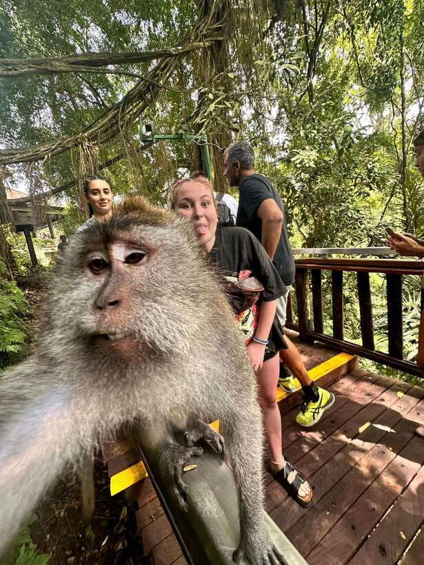 best-ubud-tour-ubud-instagramable-tour