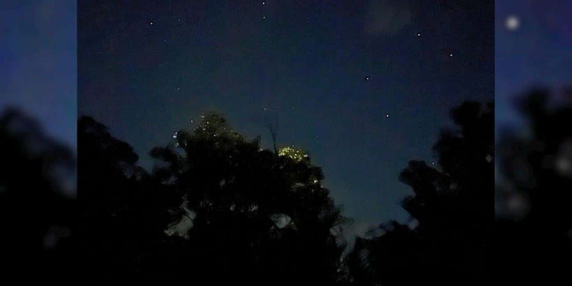 bohol-abatan-river-firefly-watching-private-tour