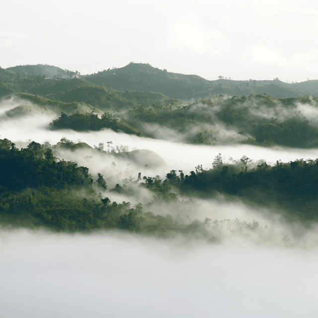 bohol-danao-adventure-with-the-plunge