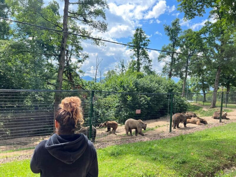 brasov-bran-castle-bear-sanctuary-rasnov-peles-optional