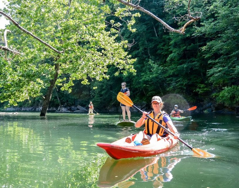 Bryson City: Fontana Lake Guided Kayak Tour
