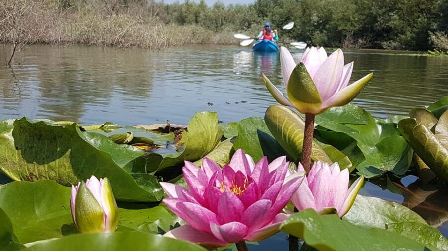 bucharest-arges-river-kayaking-tour-with-transfers