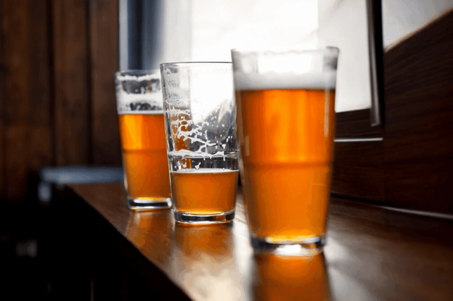 budapest-hungarian-beer-tasting-9-beers-paired-snacks