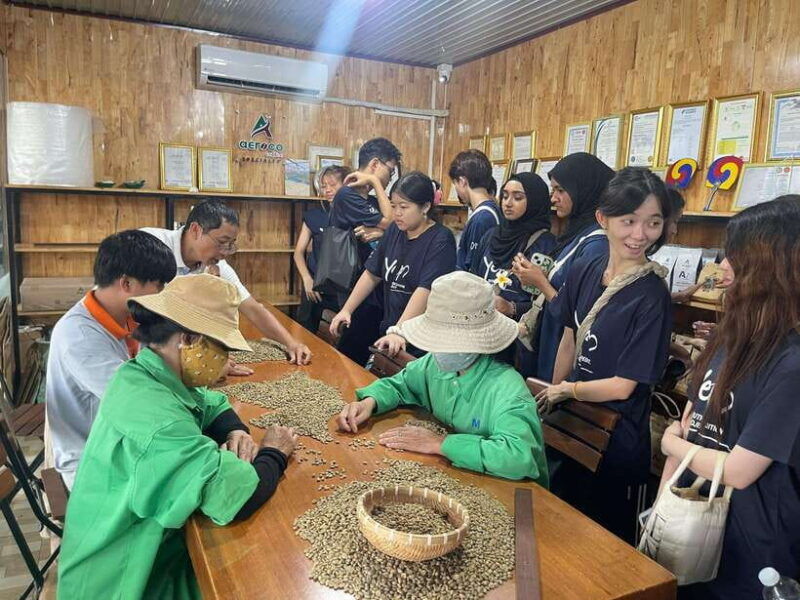 buon-ma-thuot-coffee-farm-tour-bean-to-brew-with-pickup
