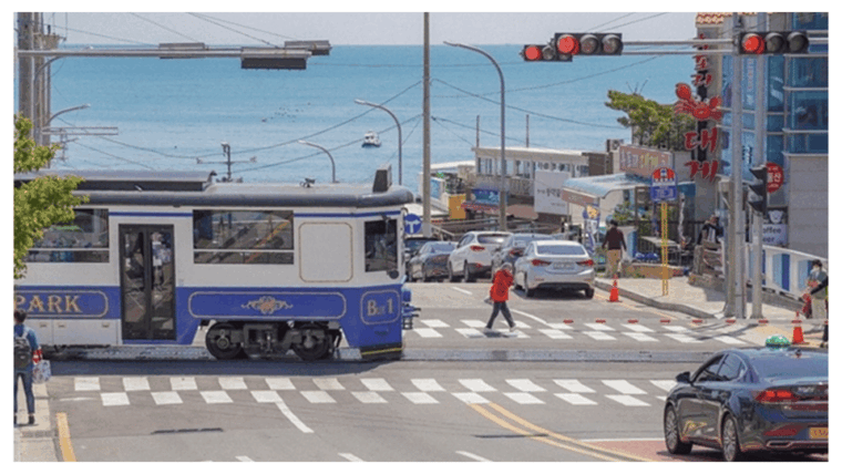 busan-top-attractions-private-tour-with-tickets