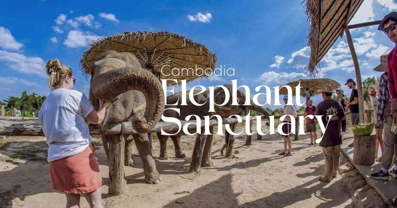 cambodia-elephant-sanctuary-and-banteay-srey-temple-tour