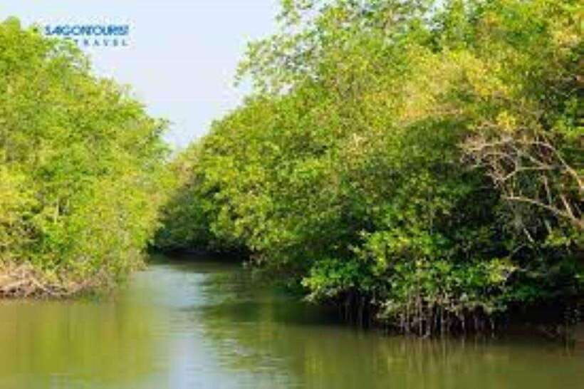 can-gio-mangrove-forest-and-monkey-island-full-day-tour