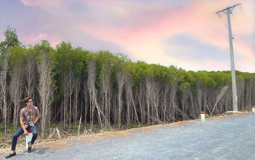 can-gio-mangroves-thanh-an-island-private-tour-by-motorbike