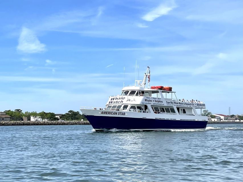 Cape May: Scenic Whale and Dolphin Watching Cruise