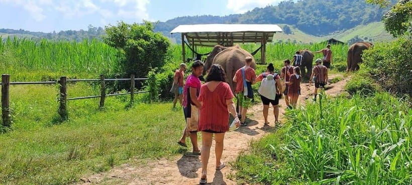 chiang-mai-elephant-sanctuary-local-hill-tribe-caretakers