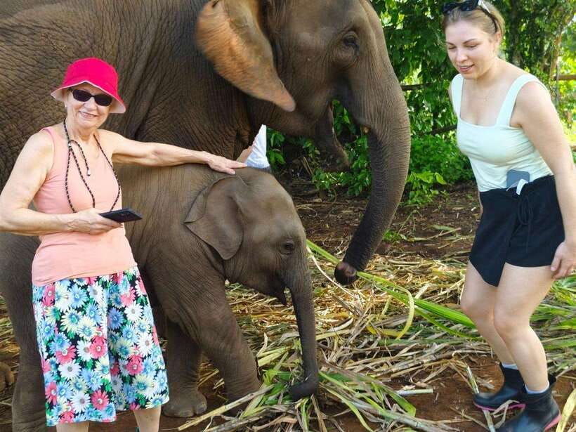 chiang-mai-elephant-sanctuary-monk-trail-doi-suthep-tour