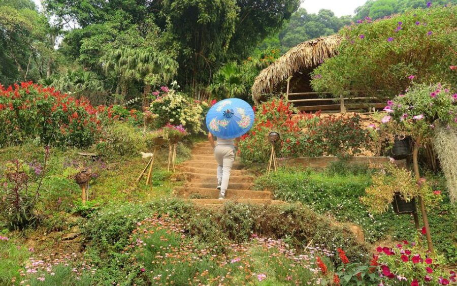 chiang-mai-half-day-doi-suthep-and-meo-village