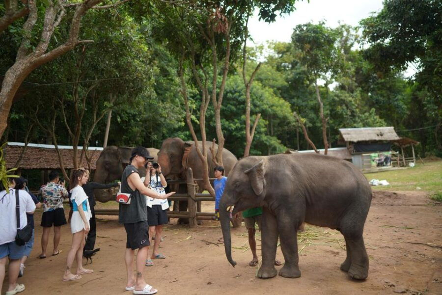 chiang-mai-national-elephant-care-rafting-ziplines-trip